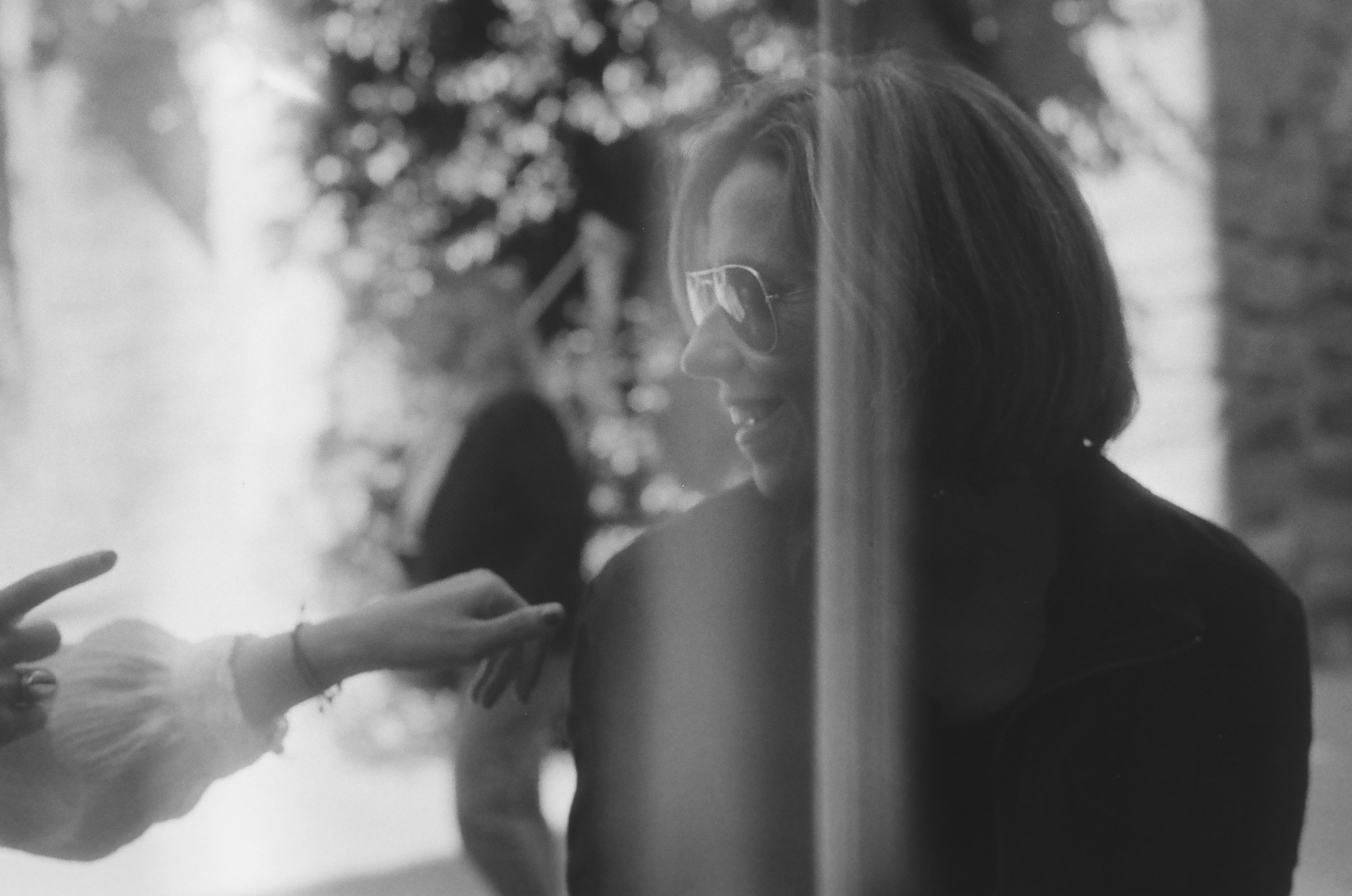 Ver toda la galería